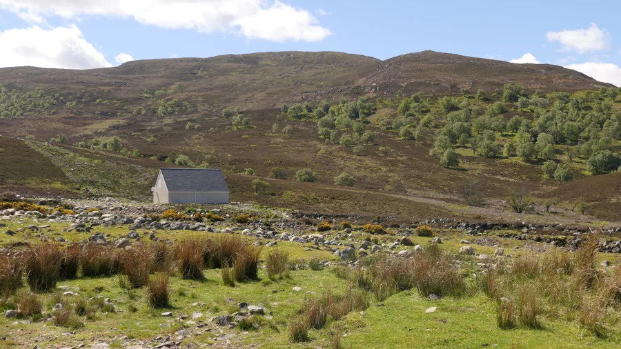 Dunmaglass Estate — Highland cattle above the loch